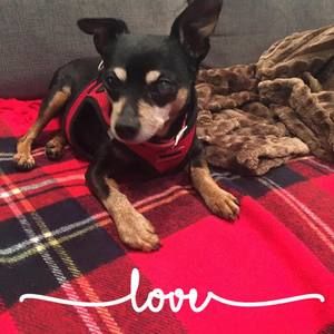 Meet your Posher, Jonita